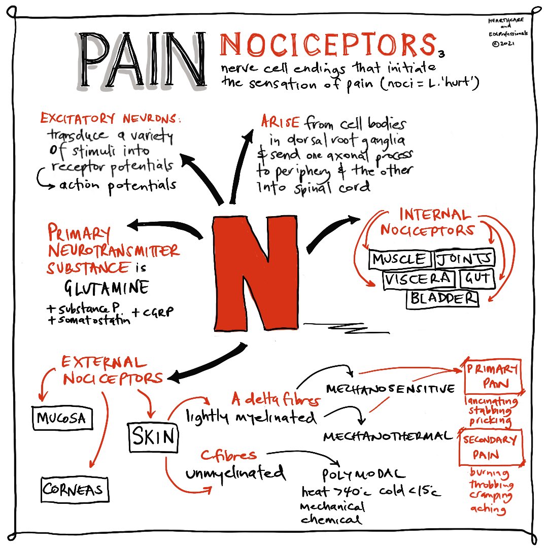 EOL Professionals tweet media