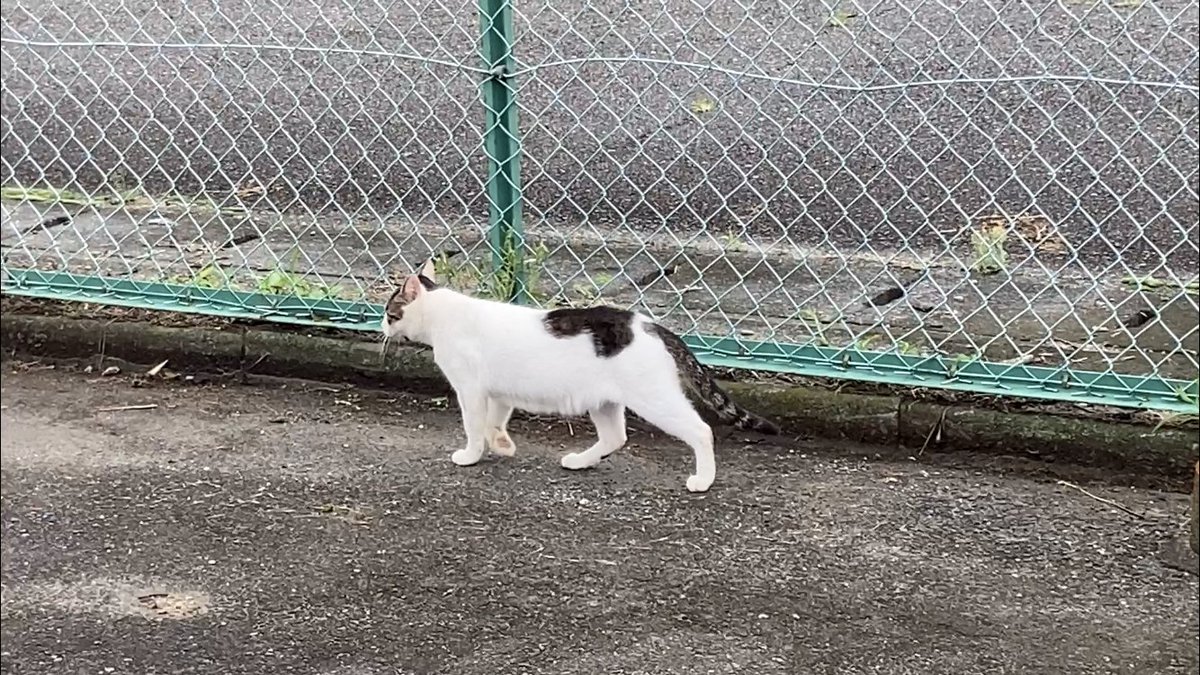 春日井グランドボウル Kasugaigb Twitter