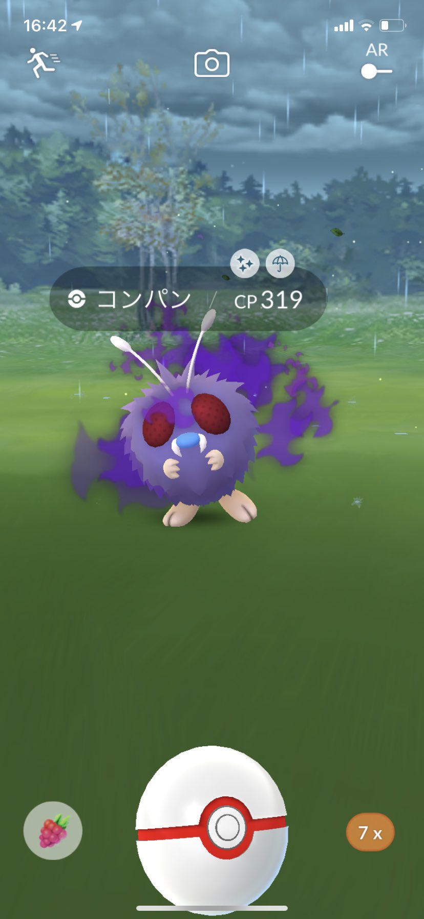 ねこた シャドウコンパンの色違いゲット シャドウポケモンの色違い初めてで嬉しすぎる ポケモンgo 色違い T Co Mjzqrahc2b Twitter
