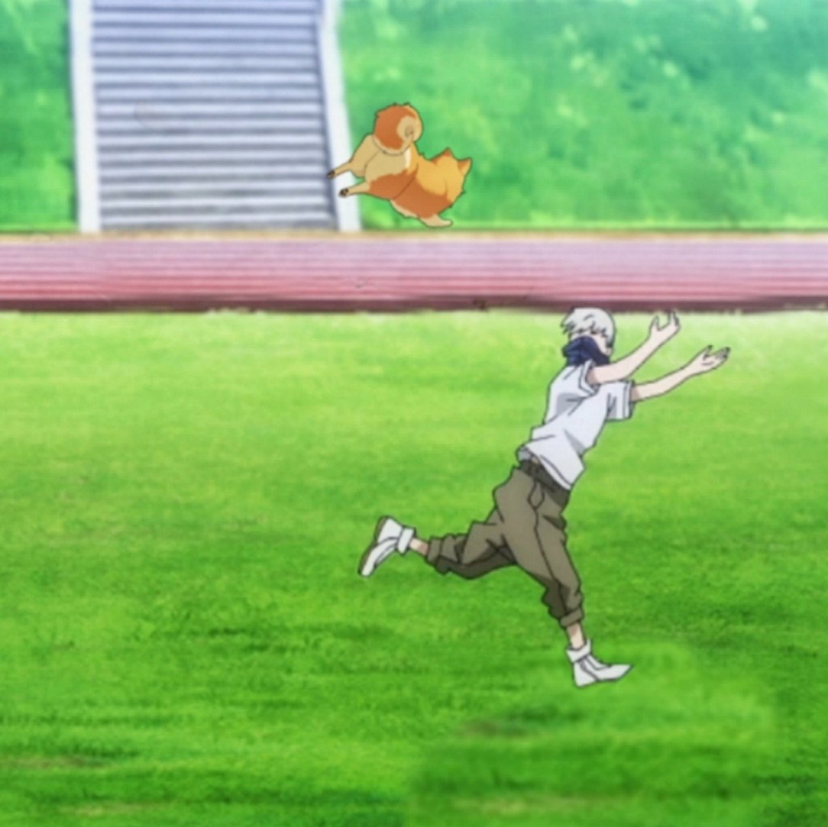 i believe i can fly
i believe i can touch the sky
i think about it every night and day
spread my paws and fly away