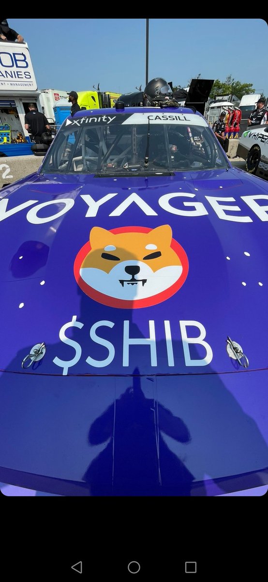 Shill Inu tweet media