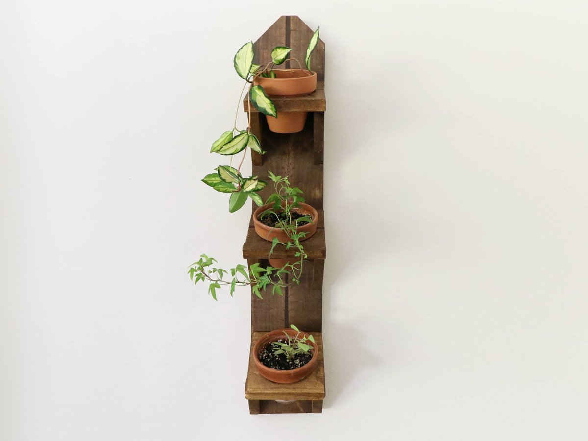 ShopWoolley's tweet image. Excited to share the latest addition to my #etsy shop: Cedar Herb Planter -Cedar Wood -Succulent Planter -3 step wooden planter- Flower Planter - Herb Garden - Indoor herb garden - outdoor/indoor etsy.me/3qMDAUN #cedarplanter #hangingplanter #herbplanter