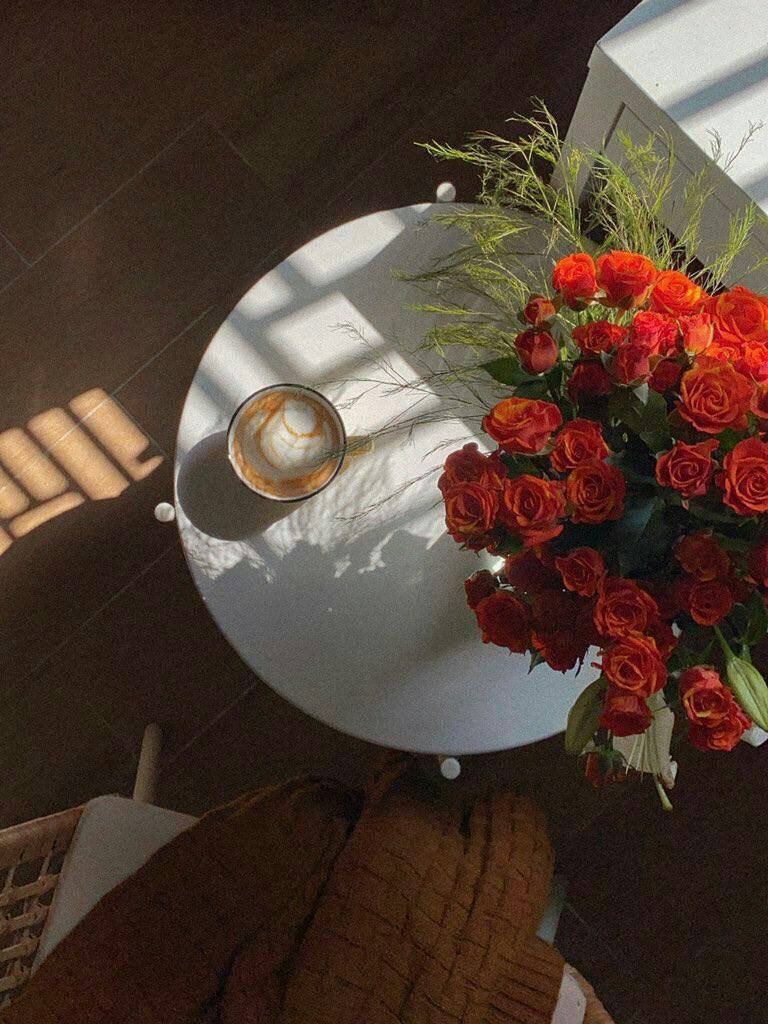 n0rh_'s tweet photo. اللهم صُبحاً زاهراً بالخير مُحمّلاً بالفرح. . https://t.co/XXiSufqLus