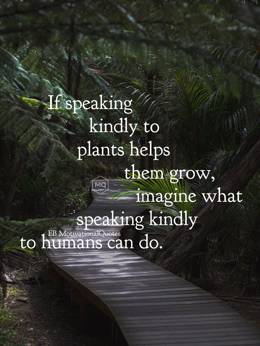 Motivational Quotes tweet media