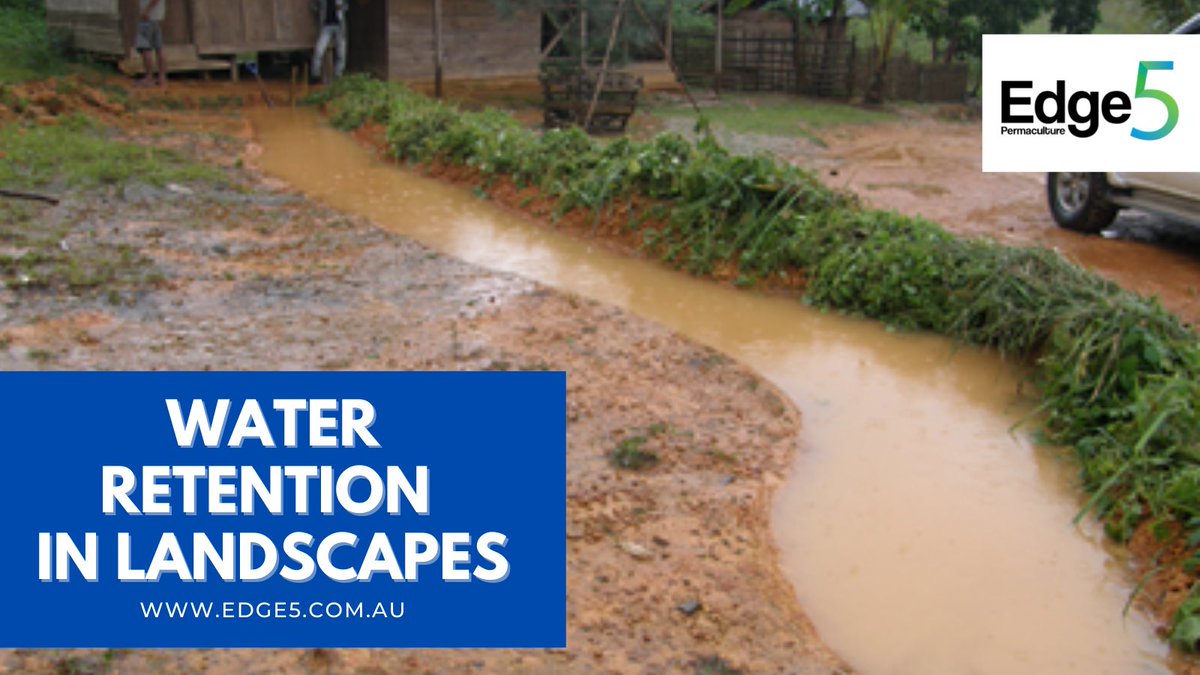 edge5perma's tweet photo. With Edge5's help, we will help you build a landscape that would give you water security.Are you having this problem right now or know anyone who might be? 
#permaculture #permacultureconsultant #permaculturedesign #permaculturegarden #permacultureaustralia #permacultureliving https://t.co/ez7jvU23fA