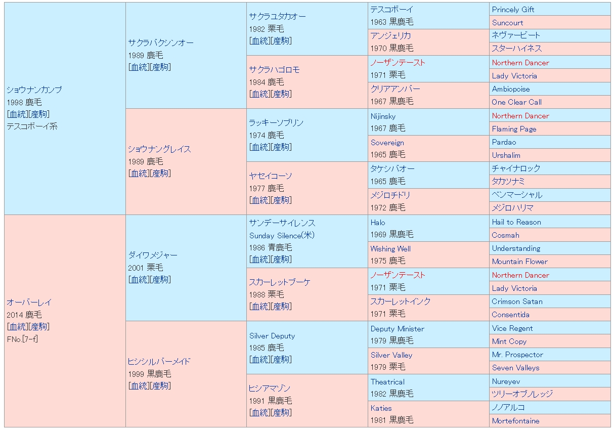 神城蒼馬 على تويتر すごいな ショウナンマッハ サクラバクシンオーにヒシアマゾン さらにタケシバオーまで入ってる日本競馬の歴史みたいな血統で新馬圧勝しちゃった Rt T Co Twercquggo تويتر