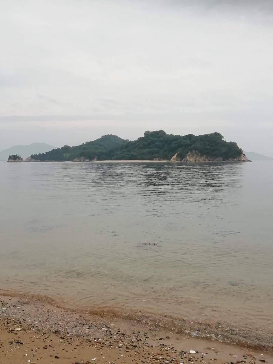 無人島 Twitter Search 無人島 Twitter Search