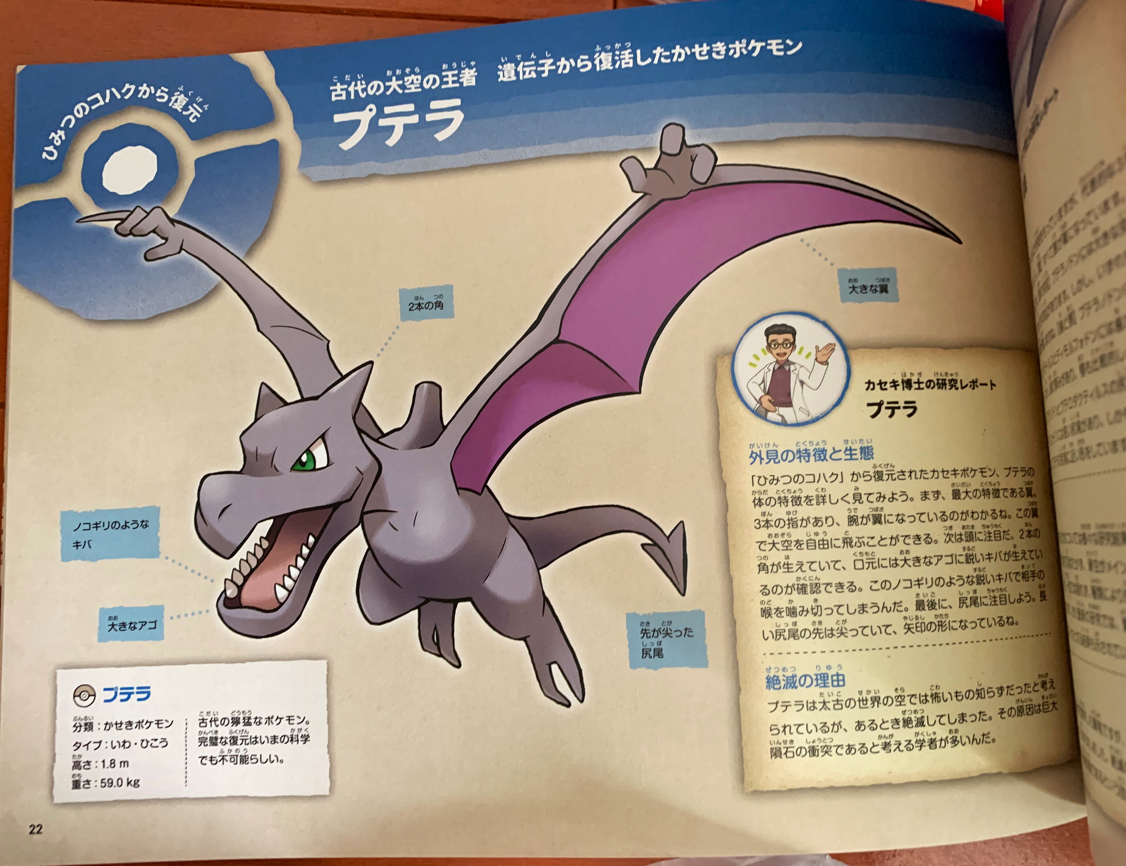 リフラ カセキポケモンファンの皆様 ポケモン化石博物館へ行ったら必ず図録を買うのです 惜しくも展示ではピックアップされなかった化石ちゃん達も 描き下ろしでバッチリ収録されてます うわあああ可愛すぎて死ぬ ポケモン化石博物館 T Co