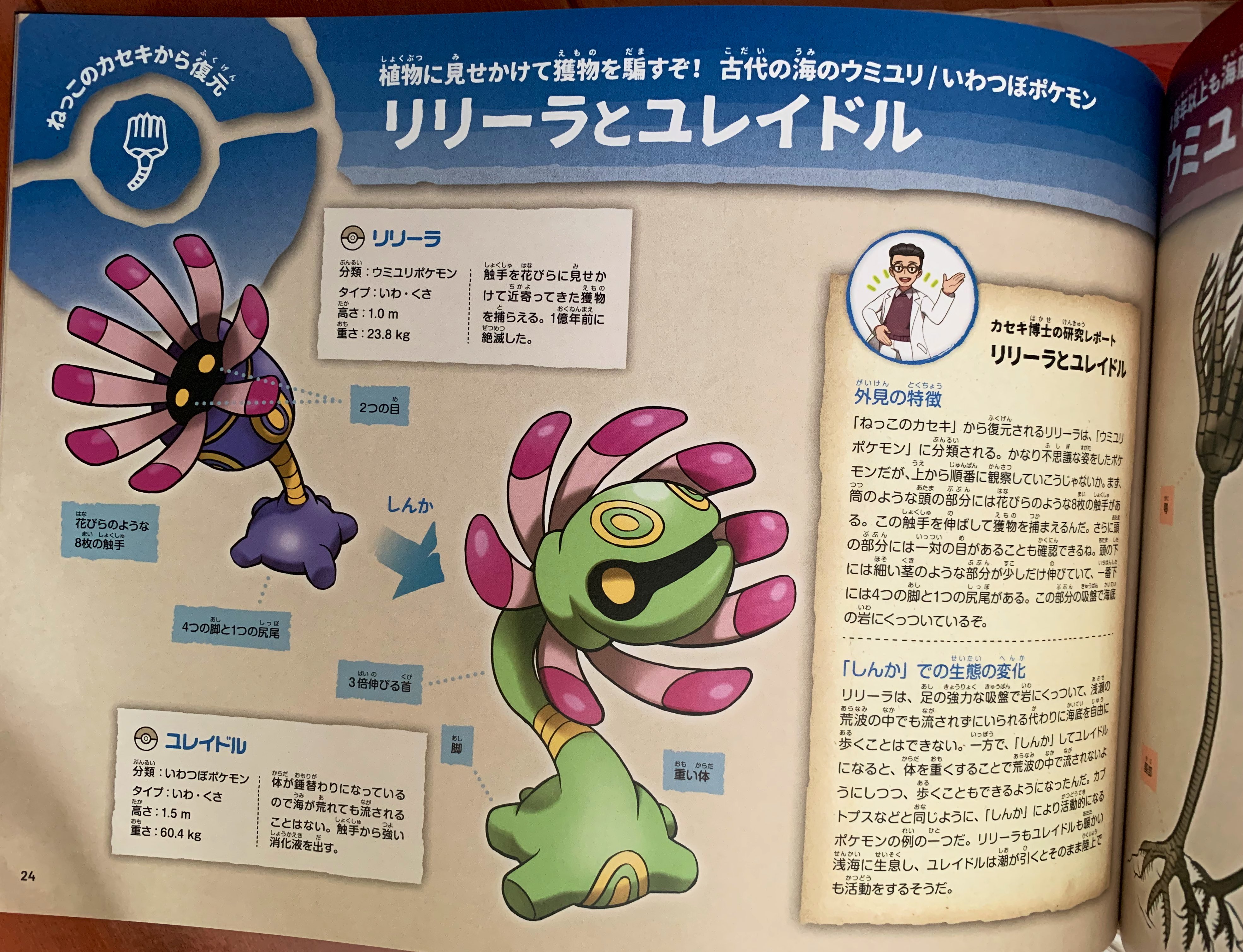 リフラ カセキポケモンファンの皆様 ポケモン化石博物館へ行ったら必ず図録を買うのです 惜しくも展示ではピックアップされなかった化石ちゃん達も 描き下ろしでバッチリ収録されてます うわあああ可愛すぎて死ぬ ポケモン化石博物館 T Co