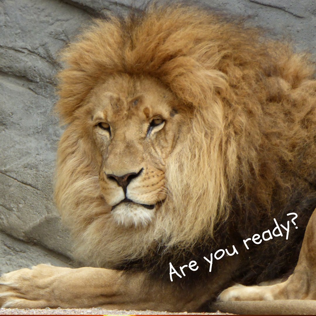 New Bible Study starting next week - mailchi.mp/56d2f607a95e/n…