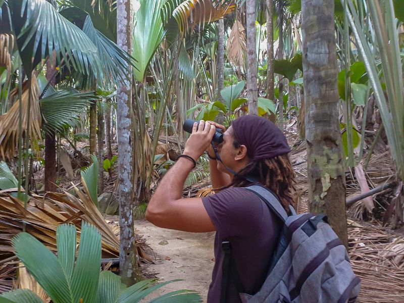 SIF_Seychelles's tweet photo. #SIFNewsletter May 2021 - https://t.co/foeMm7gutg is out! Read abt virtual classrooms that took place at #ValléedeMai &amp; #AldabraAtoll, #Aldabra's landbird breeding season, Vallée de Mai phenology &amp; the launch SIF's employee handbook&amp;sexual harassment policy. https://t.co/sD7H7CBMGC