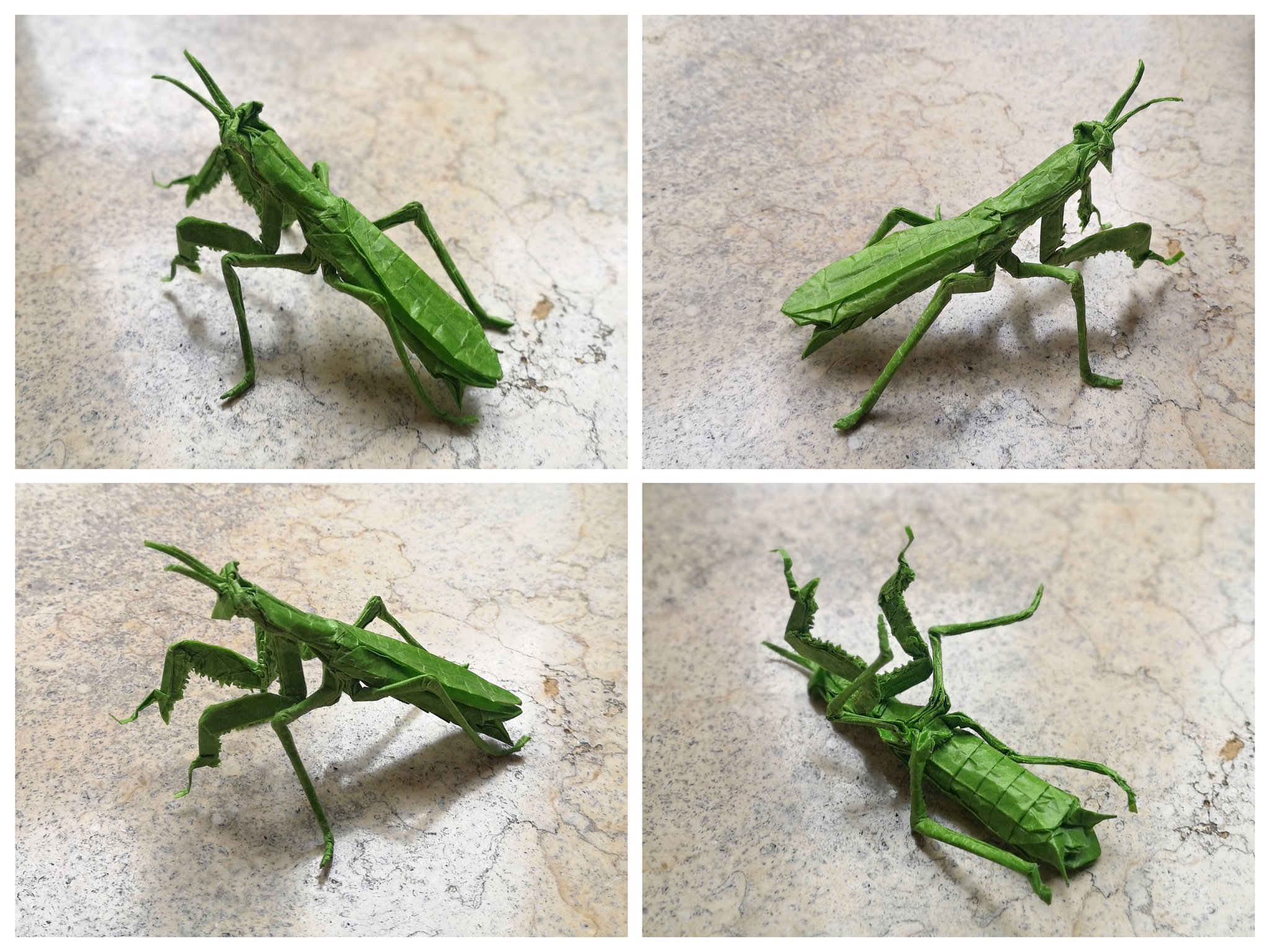 かみ　crooja mantis 148cm 23-24 オリジナル解説】CROOJA MANTIS 148-151-153cm 2022-23モデル