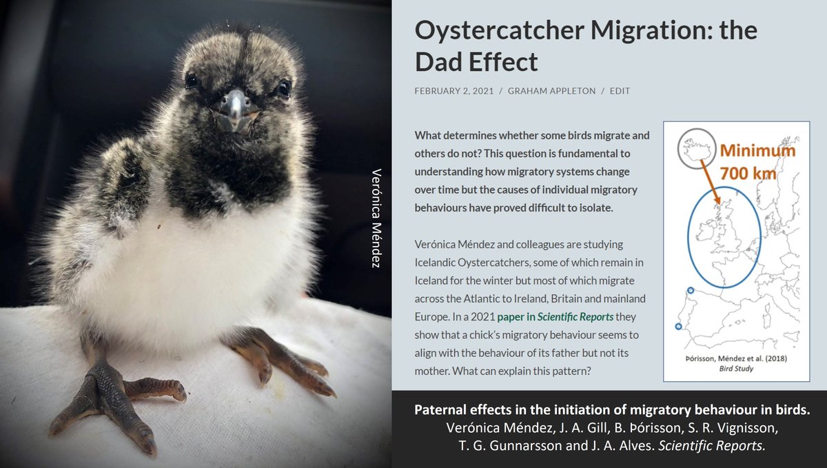 Graham Appleton tweet media