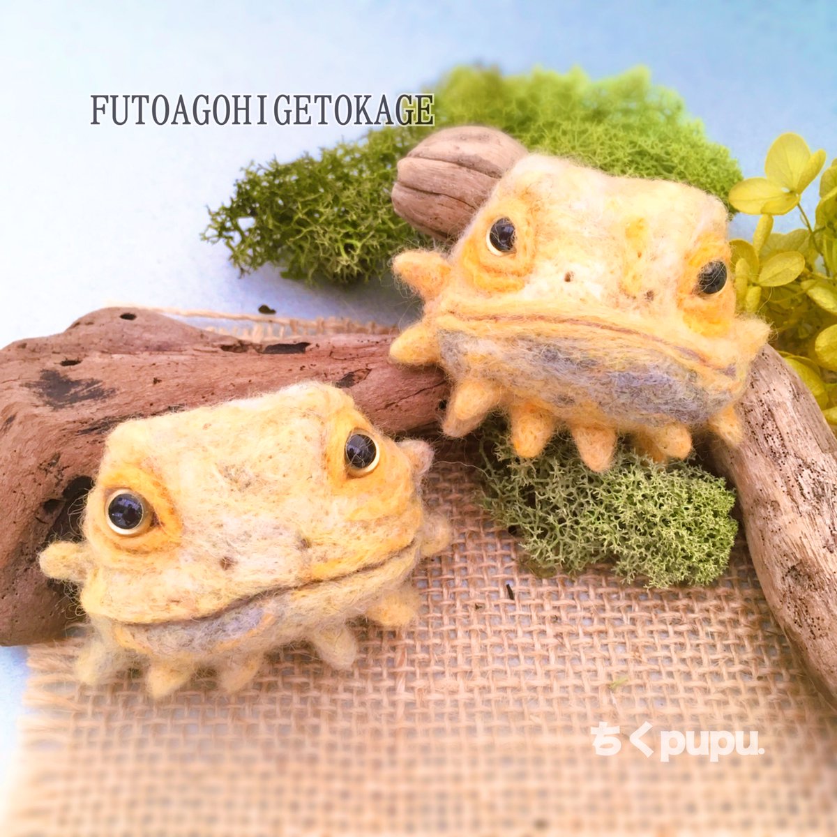 Twoucan フトアゴヒゲトカゲ の注目ツイート イラスト マンガ コスプレ モデル