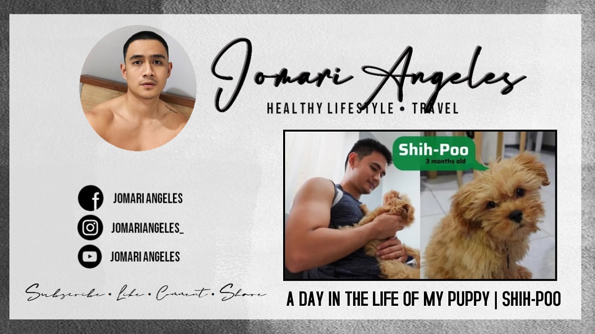 TeamBai's tweet photo. 📌 A DAY IN THE LIFE OF MY PUPPY | SHIH-POO
🔗 https://t.co/CL4coyJV40
Watch | Like | Comment | Subscribe
#TeamBai • #JomariAngeles https://t.co/fgrdfJgA3K