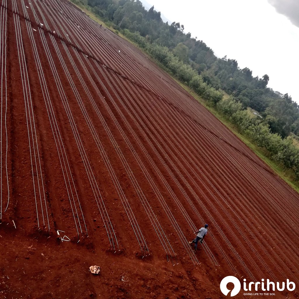 Gearbox Europlacer (GBox_EuroPlacer) / Twitter