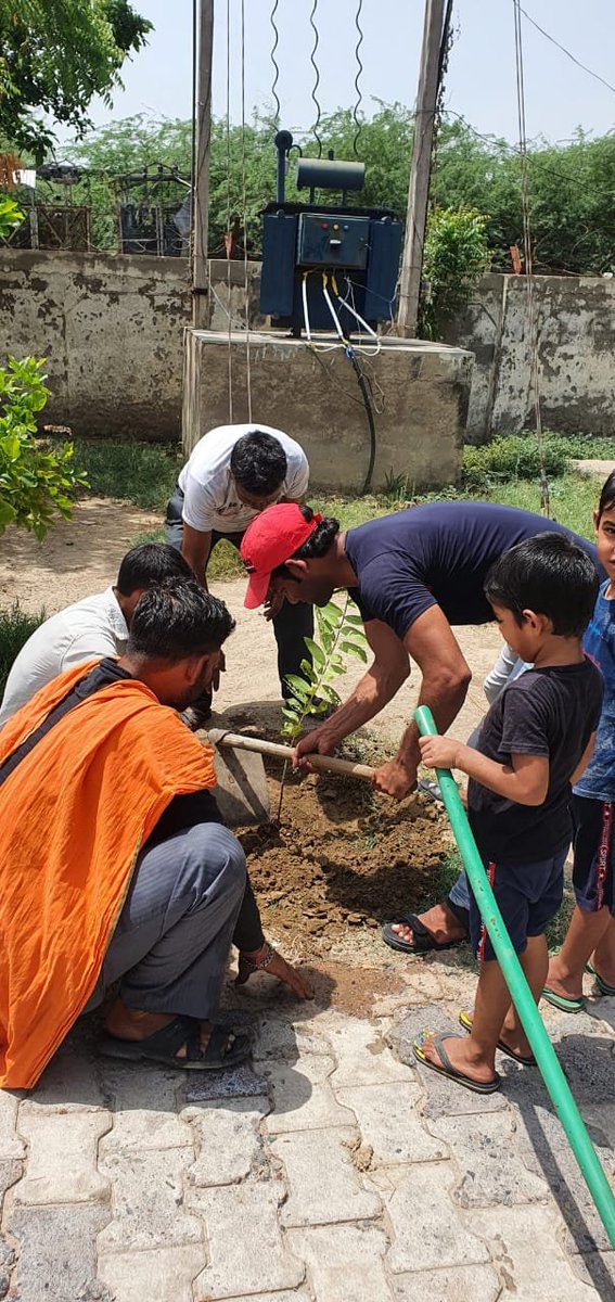 EuddVrindavan's tweet photo. Tree Plantation at Chaitanya Vihar, Substation, Vrindavan @MDDVVNL @EMofficeUP @se_eudcmathura https://t.co/uXkXwZaaO7