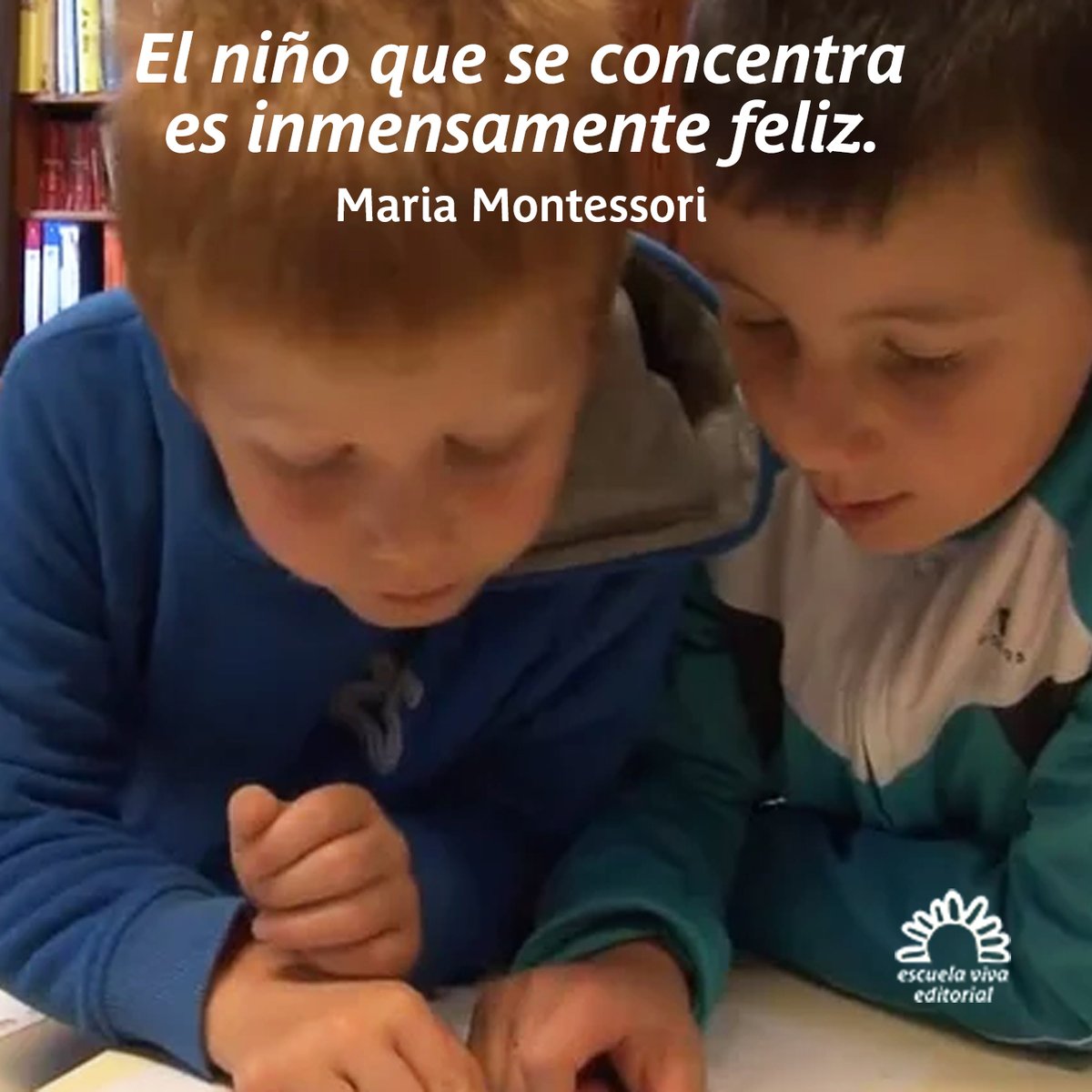 EscuelaVivaEd's tweet photo. #Montessori #EscuelaVivaEditorial https://t.co/g71jukXRKN