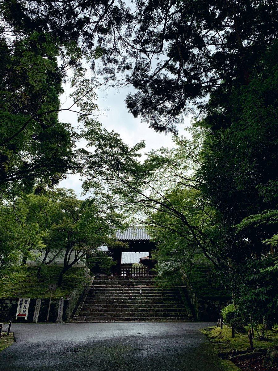 mon_ene2014's tweet photo. ぼっちで京都の幽霊の掛け軸がある寺院に行ってきた。
いわくつきの掛け軸とか何とか… 薄暗い場所に不意にあったから一瞬ビクって肩動いてもたで https://t.co/LWzyX2FCsA