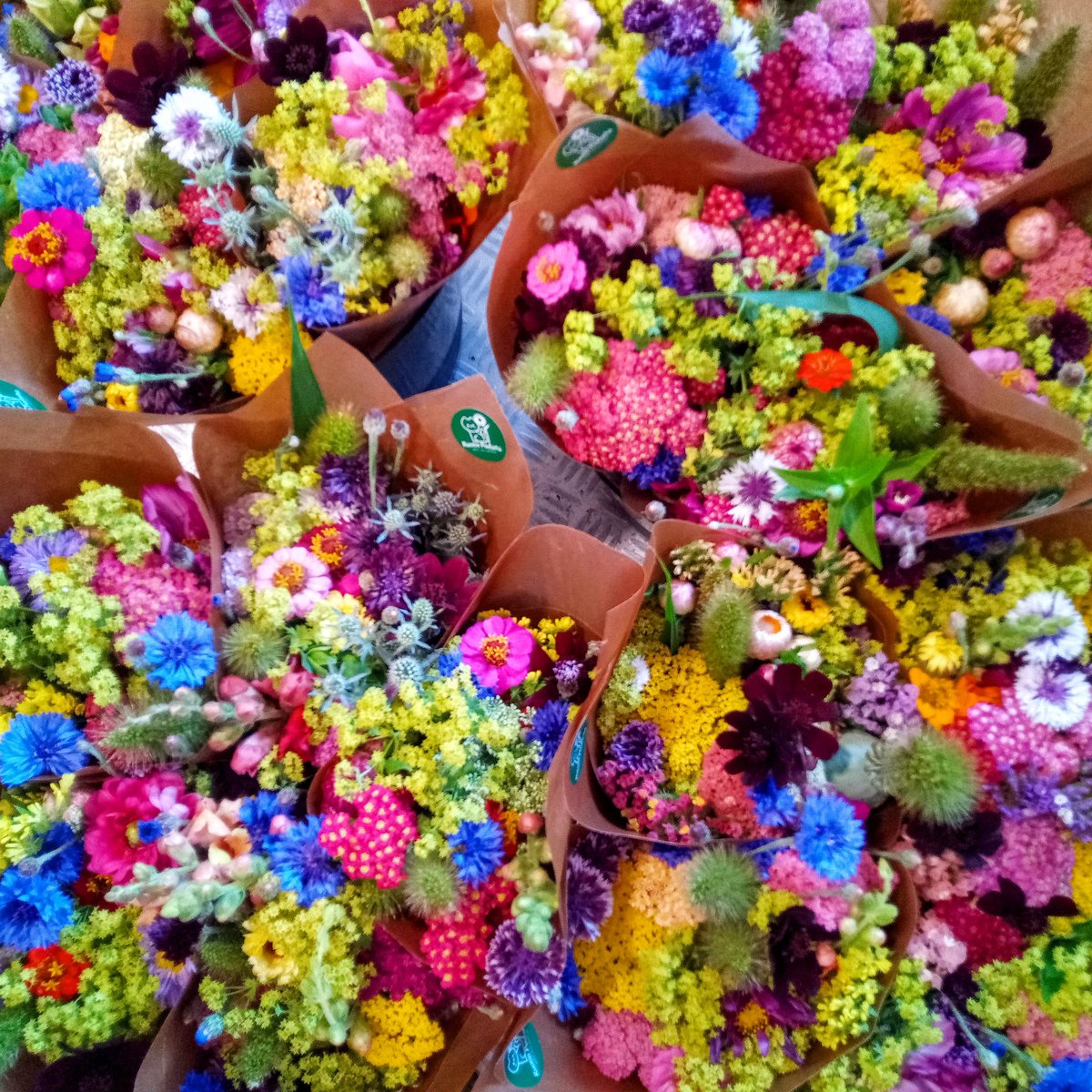 Kotimaiset kukkakimput avomaalta. Lähituotantoa parhaimmillaan. #lähituotanto #kesäkukat #kukkakimppu