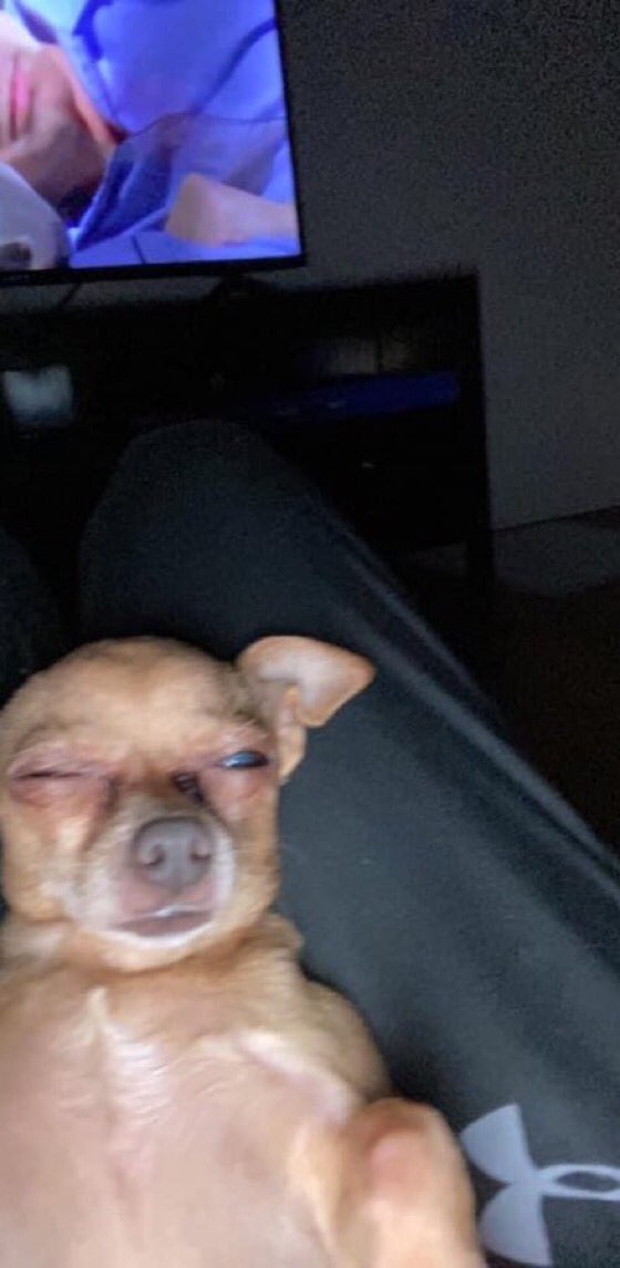 Me checking Elon’s tweets every night