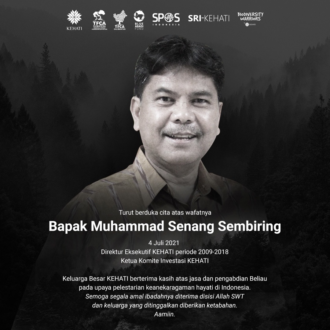 tfcasumatera's tweet photo. Selamat jalan Pak Sembiring .. kebaikan dan jasamu bersama kami di @tfcasumatera  dan @KEHATI  tak kan kami lupakan selamanya.  Dunia konservasi merasa kehilangan atas kepergian mu. .. https://t.co/eX6a6fotEo
