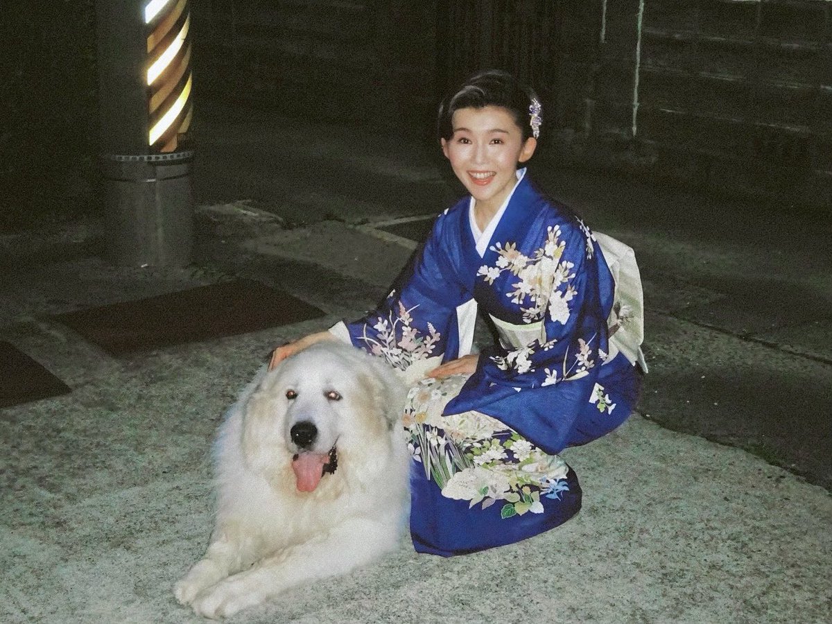 ピレネー犬 ピレネー犬