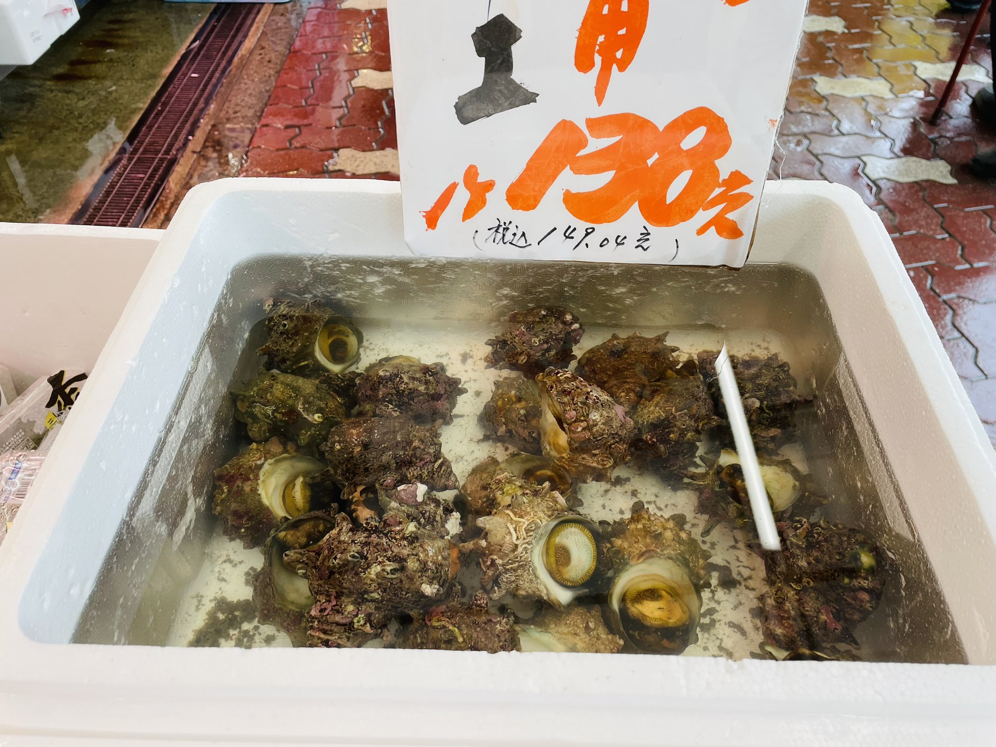 桃丸 ﾏﾙﾓﾓ 魚屋さん行った後寝てたわ サザエ15個分 刺身 肝醤油 肝付の身はﾊﾞﾀｰ醤油炒め ﾂﾏは庭から採取 つまみ食いして10個分に減った みんな 明日も ٩ ๑ O ๑ وｴｲｴｲｵｰ おうちごはん 石毛魚類 キリトリセカイ 猫 家庭菜園