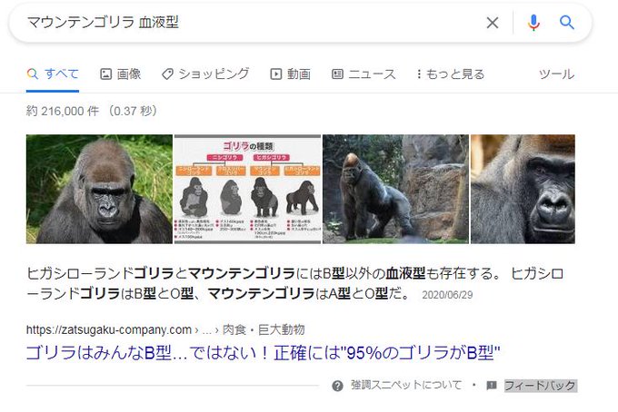 ゴリラのトレーナー