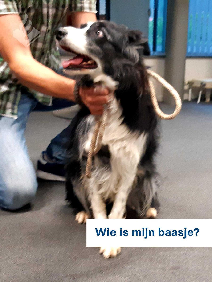 GEVONDEN op de Brugweg in Echt. Eigenaar kan 0900-8844 bellen.