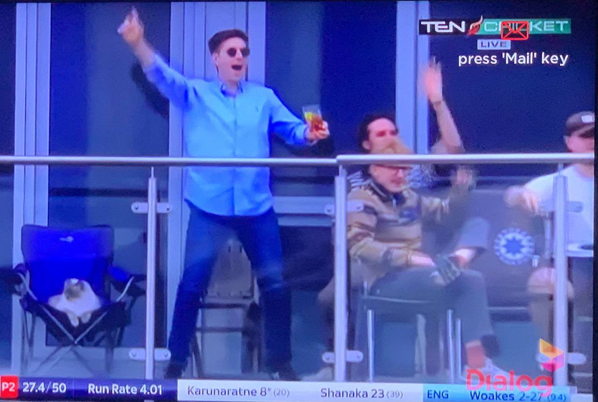 Cat is no doubt a long suffering Lankan cricket fan #ENGvSL #aiyo