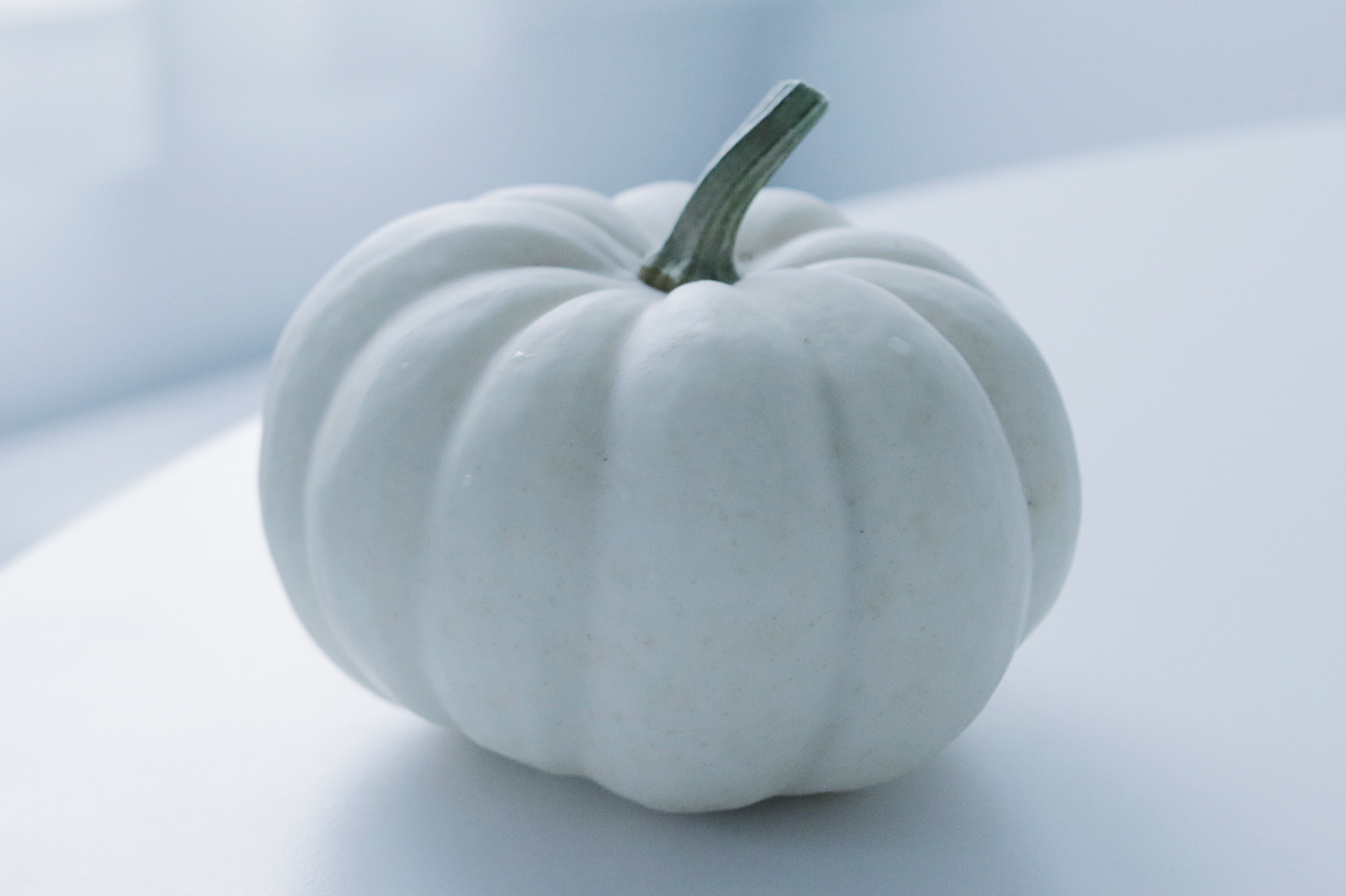 Tomei 透明愛好家 白い野菜たち ゴーヤとカボチャとナスを手に入れました 透明 ではないけれどなんだか不思議な魅力があります T Co Clqgjfsr98 Twitter