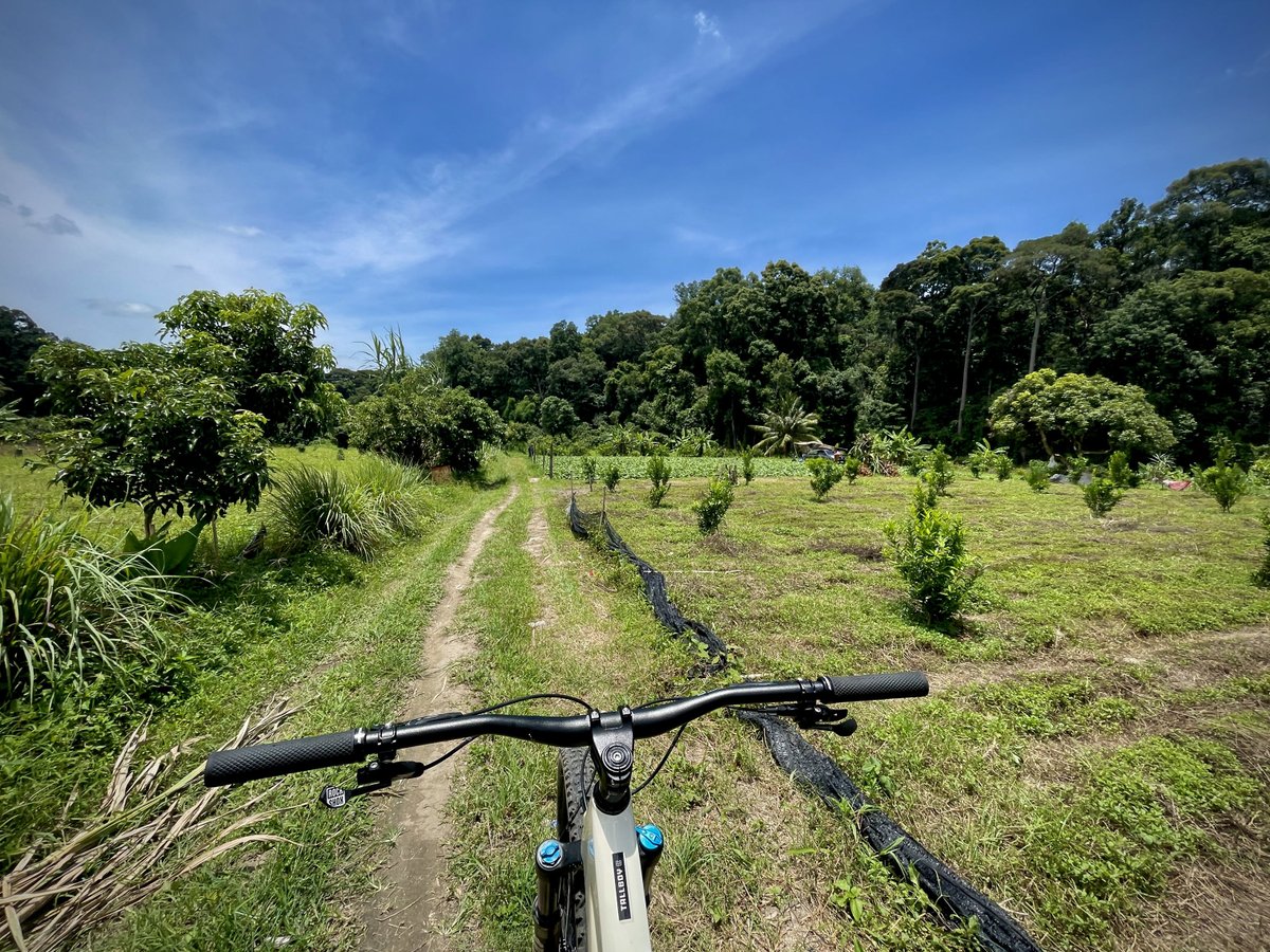 Tradeciety's tweet photo. North Thailand is probably one the best places you can ride. 2 hours of downhill single track through the djungle and mountain farms :) https://t.co/VNALKfqOer