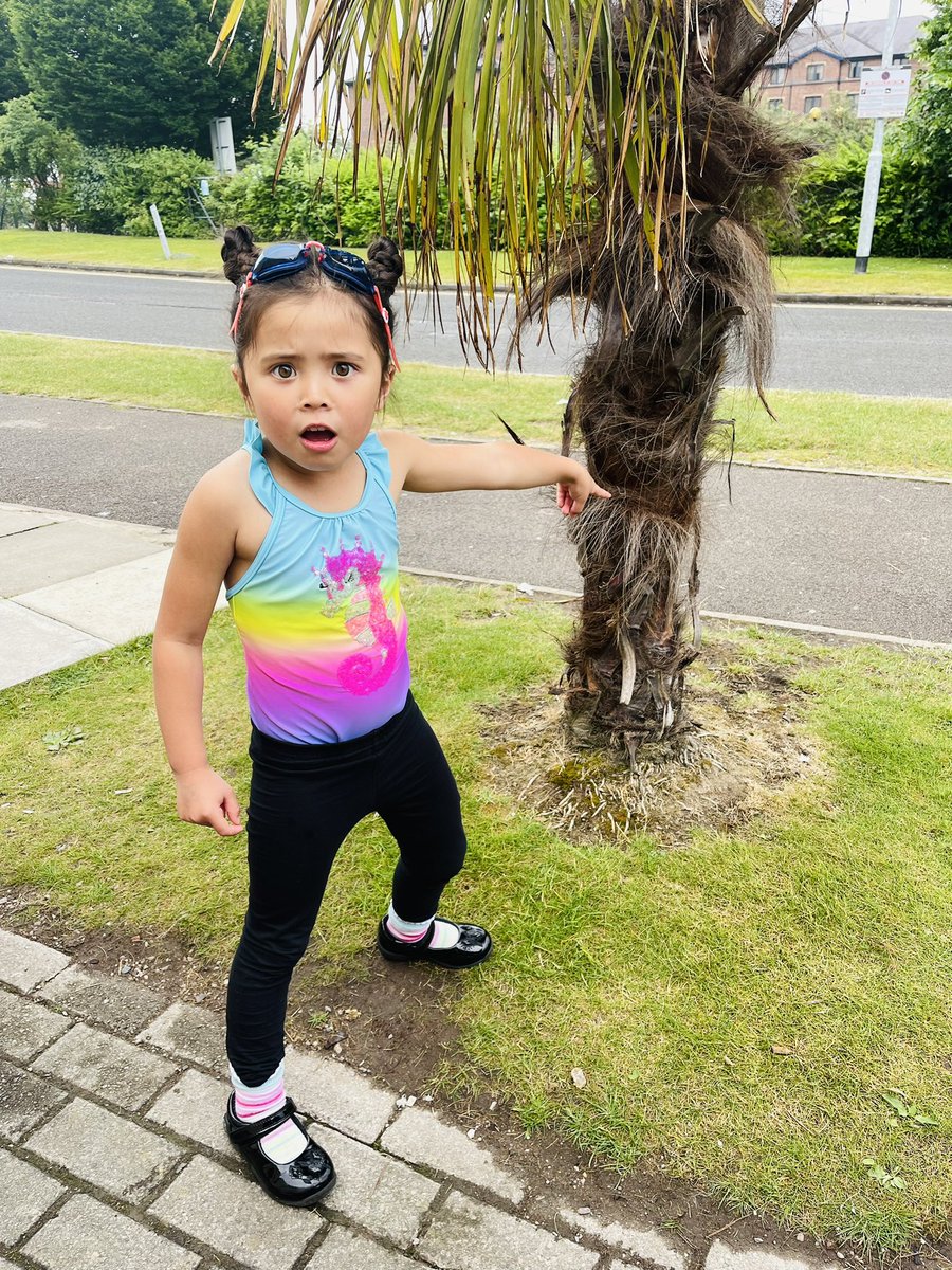 DanielPaulJones's tweet photo. When you’re on your way to swimming and you spot a hairy tree #Hairy #Tree #Shock #Horror #Swim #Swimming #SomethingDifferent #MayJones https://t.co/8VlvCcmByl