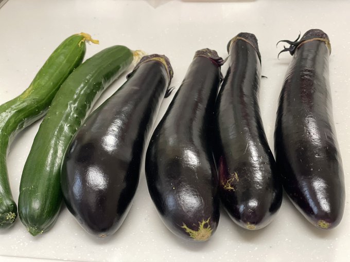 庭から収穫したきゅうりとなす🥒🍆
もうちょっとでミニトマトも収穫できそう🍅 