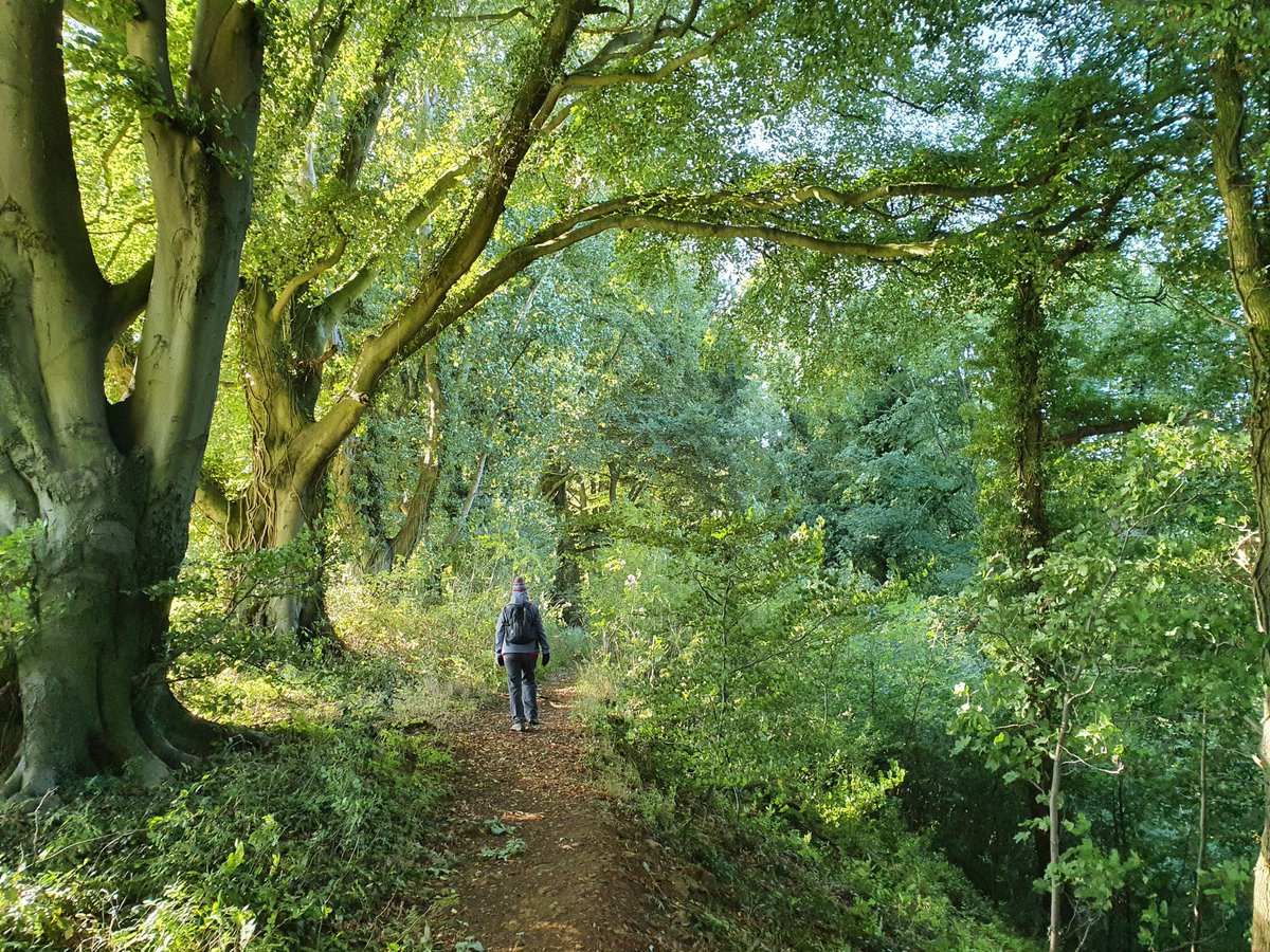 LongWeekenders's tweet photo. Photos (1 of 2) from #walking the #centenaryway in #Warwickshire last September. Final day of 5 day #hike going from #edgehill to #shipston completing the 100 mile #ldp. Learning about the first #englishcivilwar. Full details on #podcast #walkthisway @WKWT @WarwicksRambler https://t.co/ts6UHNvvLN