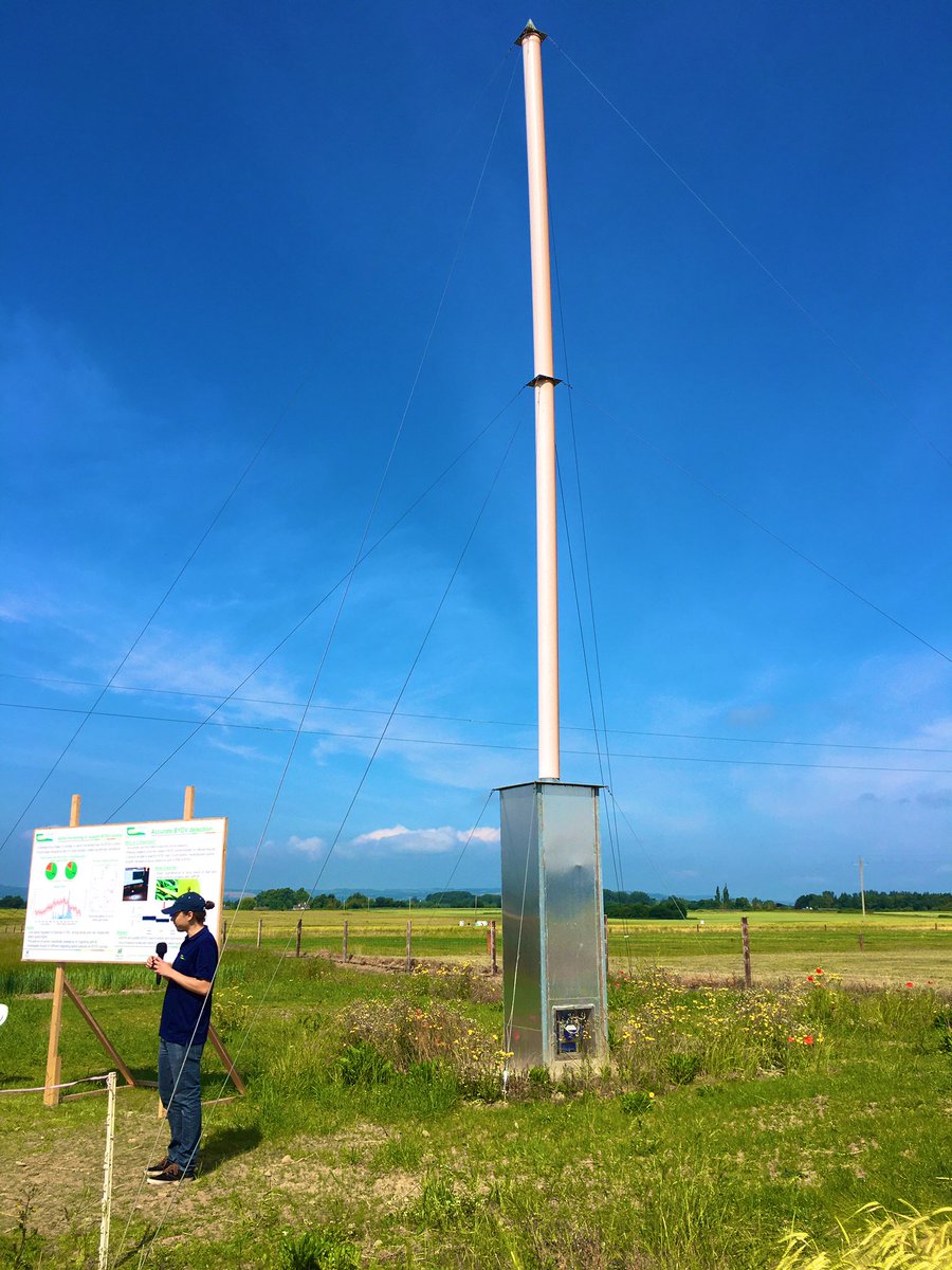 DRaj_Rathore's tweet photo. #Random_Clicks from #Crops #Openday @TeagascCrops #biodiversity #Aphidsuctiontower #friendlycat #sciencecommunication #publicoutreach #fromlabtofield https://t.co/OIIS32hOIX