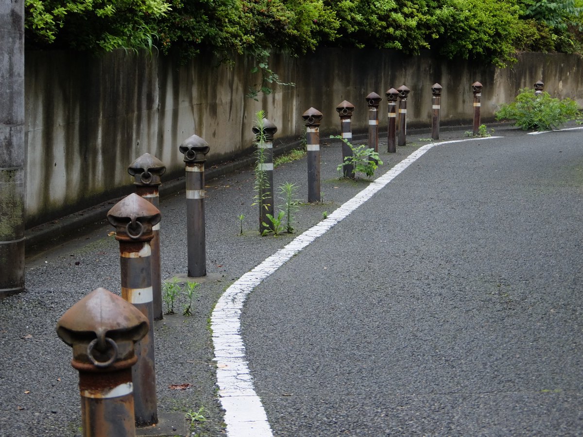 悪い奴らに追われてる