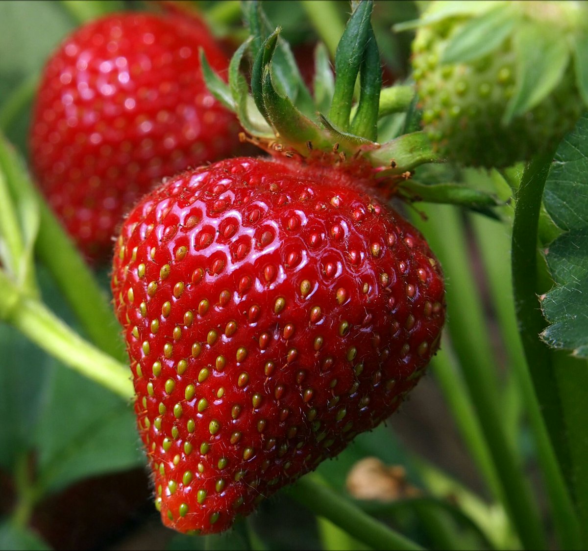 НЕ ПОВТОРЯТЬ
     ОШИБКИ,
СКАЗАТЬ ПРОСТО,
           СТОП.