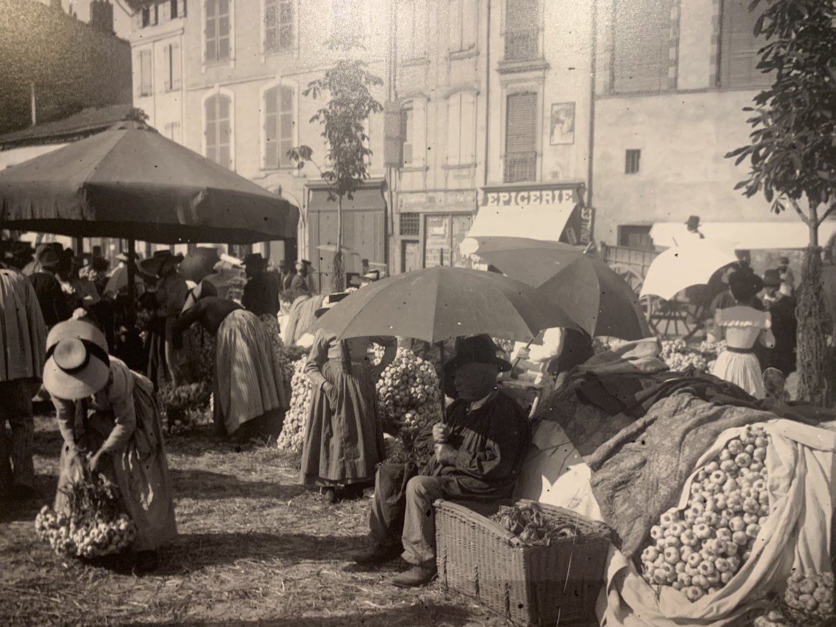 MagueloneP31's tweet photo. Les marchés de @TlseMetropole en 1900 à retrouver au #MuséeduVieuxToulouse place du capitole et place du salin 🥰🍅🥦🍓 @MinToulouse @agencevache @mams_cook @JJBolzan @actutoulouse @WE_Toulouse @BoucheAlbertini @FruitsLegumesFR @SaveursCommerce @LaRosee_Primeur @LionelPrimeurs https://t.co/0eydLHGyAP