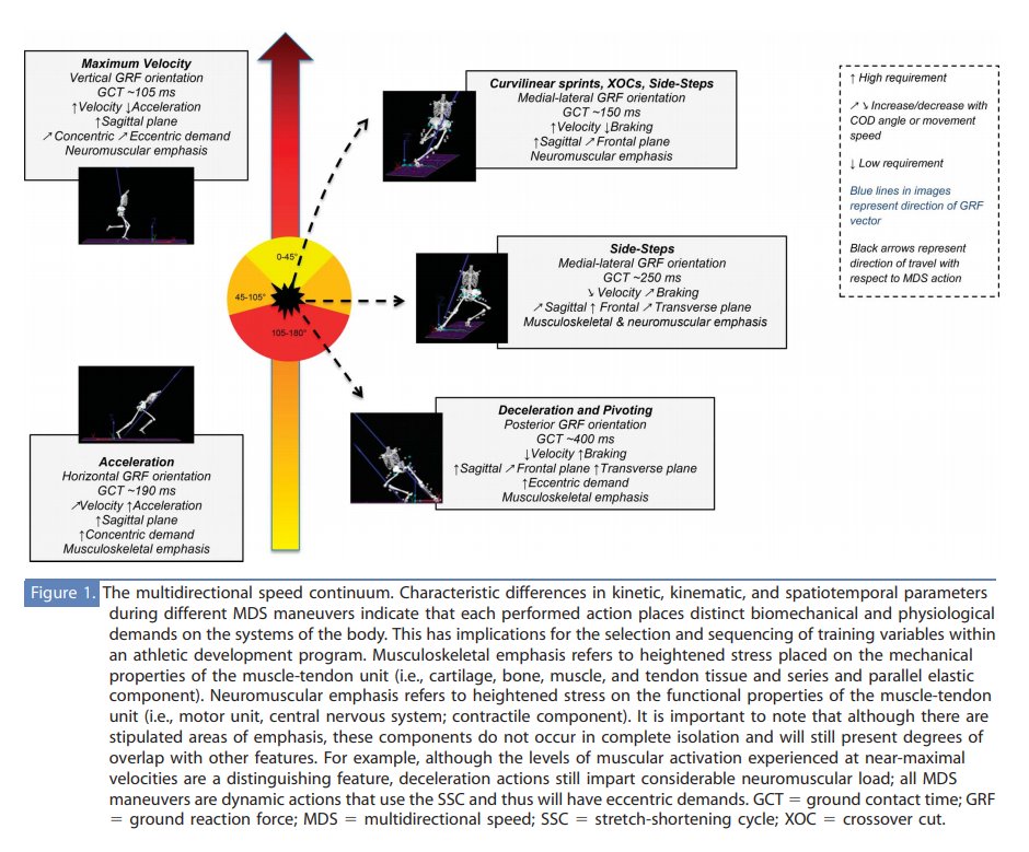 NEW ARTICLE🧐📄: Multi-Directional Speed in Youth Soccer Players🏃⤴️⤵️🔃 ⚽️

"Given the open nature of team sports, it should be the goal of every coach and practitioner to create fast, efficient, and robust 360-degree athletes"

Access here: journals.lww.com/nsca-scj/Abstr…