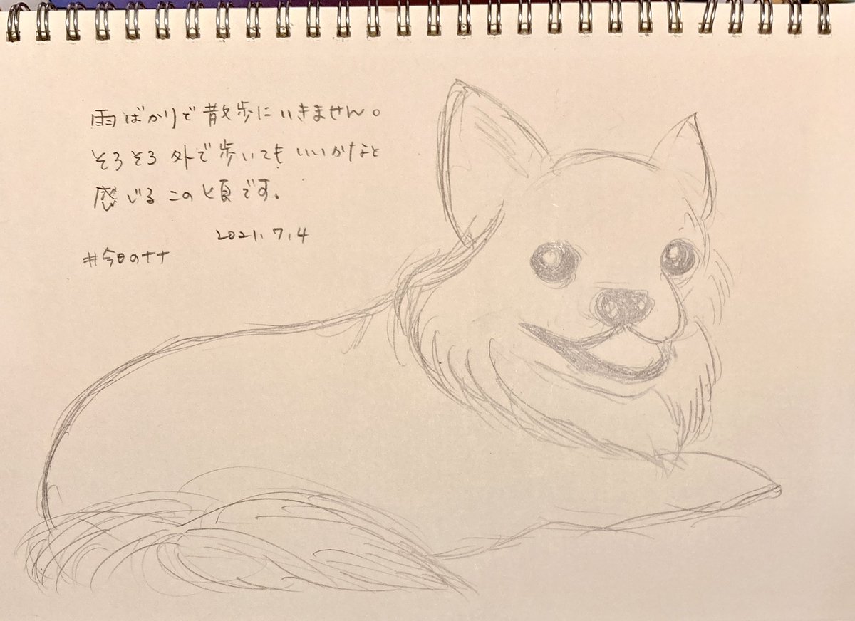 チワワイラスト