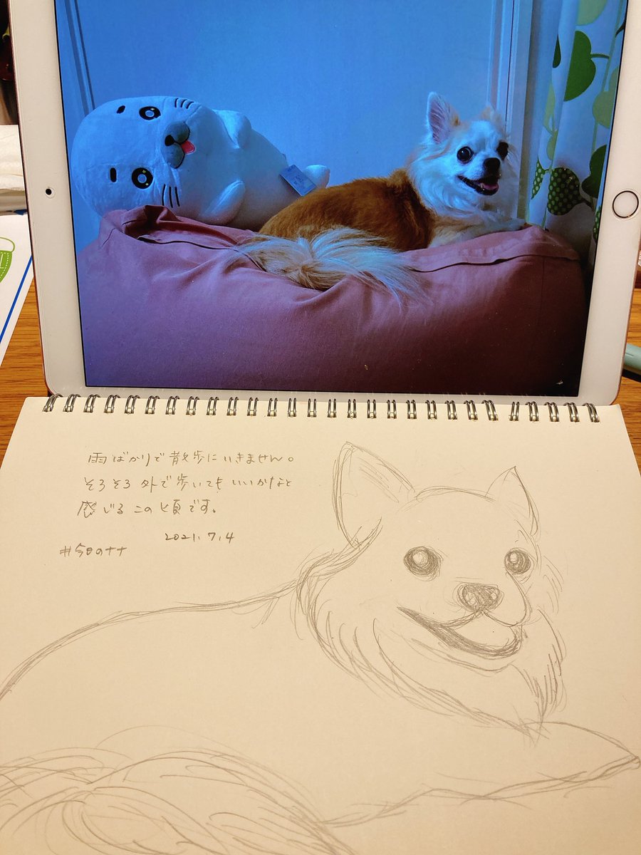 チワワイラスト チワワイラスト