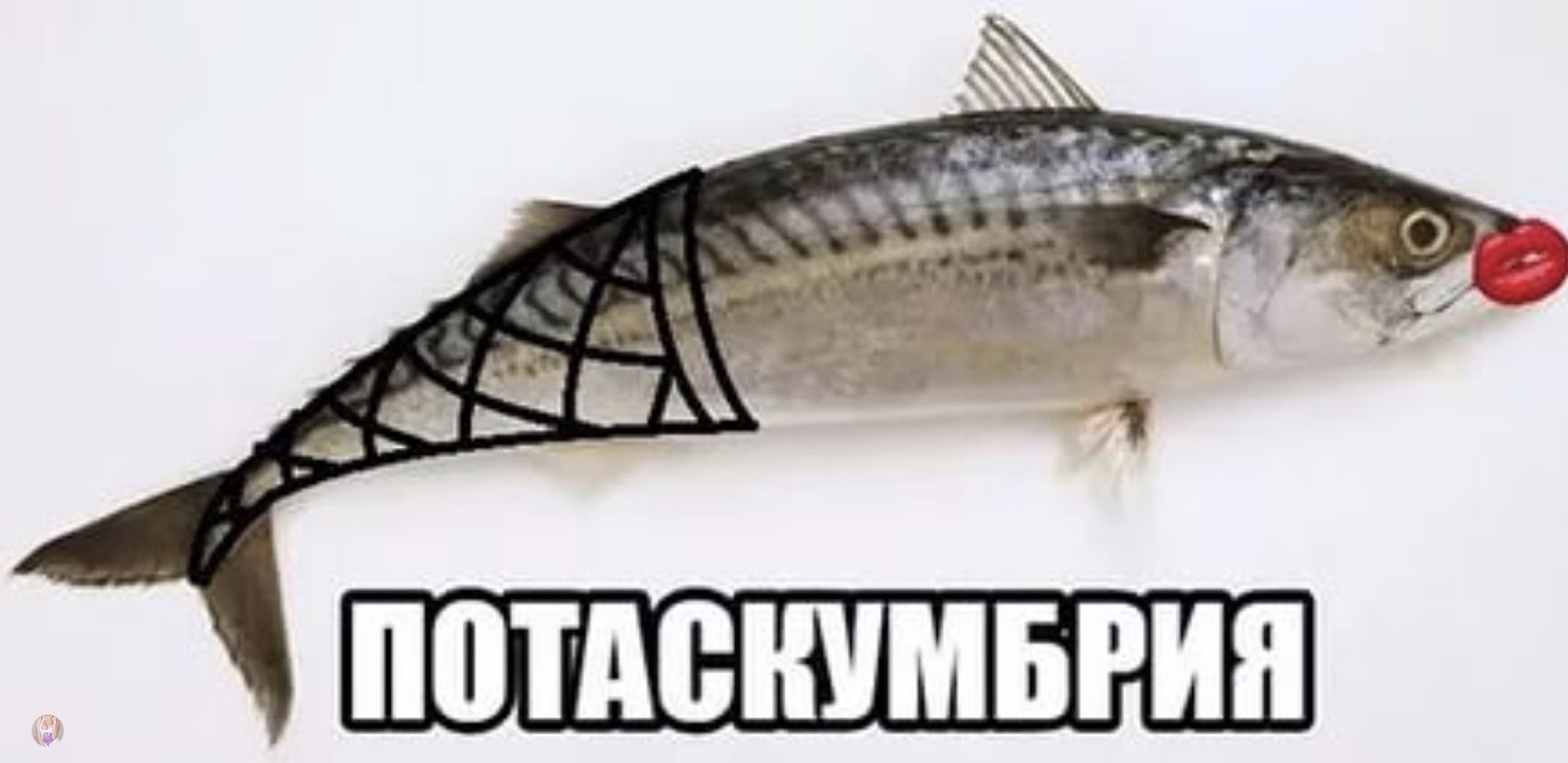 Потаскумбрия шлакоблокунь