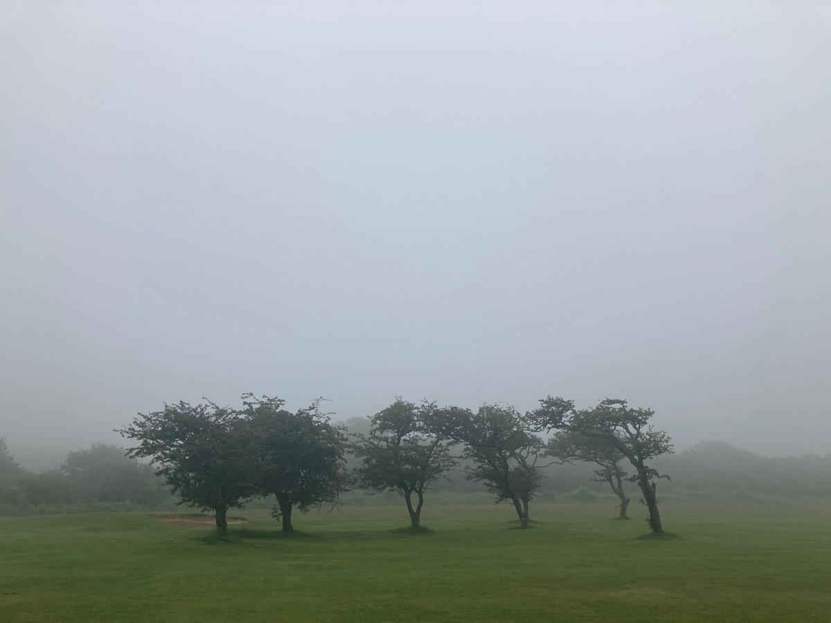 duncan_tree's tweet photo. Seven playing misty for me magnificently.
#runningheals https://t.co/g6I1H3sxHA