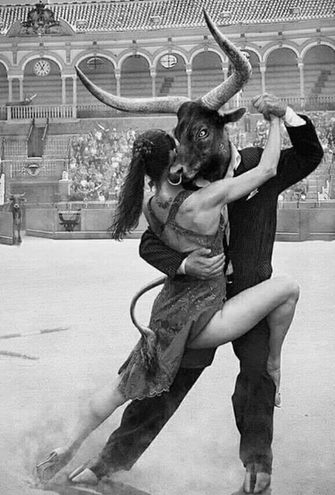 The Museum of Curiosities tweet media