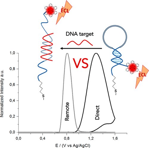 Gio_Research's tweet photo. Super happy to share our latest work @an_chem! #DNAnanoswitches for the optimization of #electrochemiluminescence mechanism in DNA sensors. Many thanks to @ZanutAlessandra @alessan_porch @MariannaRosset5 @RicciLab for the nice collaboration #Openscience https://t.co/N14RNkpupv https://t.co/UeCdSOyc7a
