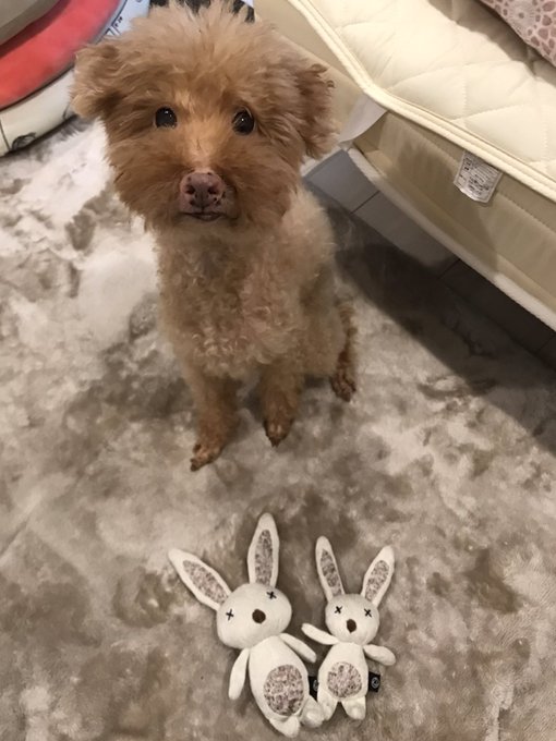 おもちゃ 高画質 のtwitterイラスト検索結果 古い順