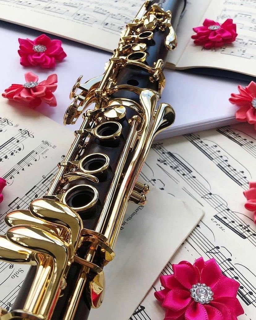 Clarinet Photos Download The BEST Free Clarinet Stock Photos  HD Images