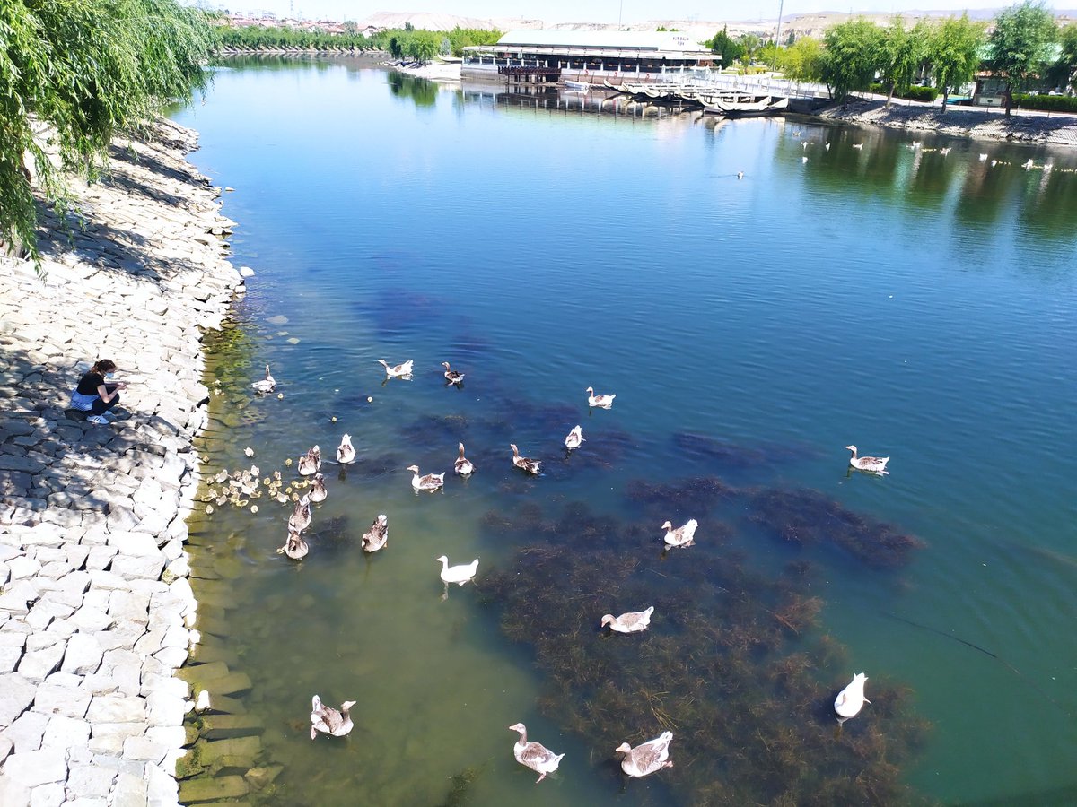 Bir insan ancak kıymet bilenin yanında kıymetlidir..